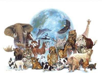 AnimalesLimpiosImpuros2
