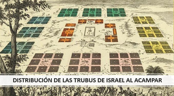 DistribucionTribus